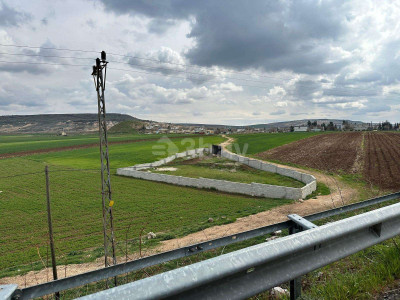 WhatsApp Image 2025-06-02 at 15.55.21.jpeg